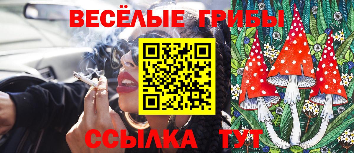 Псилоцибиновые грибы прущие грибы  Вход с VPN  Кыштым  Галлюциногенные грибы ЛСД 